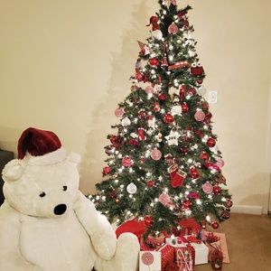 Meet your Posher, Hamed